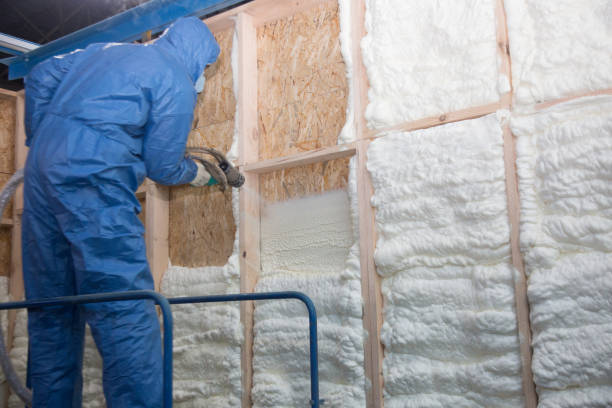 Trusted Kendale Lakes, FL Insulation Removal & Installation Experts